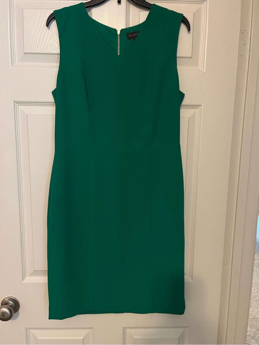 The Limited Sleeveless Sheath Dress in Green